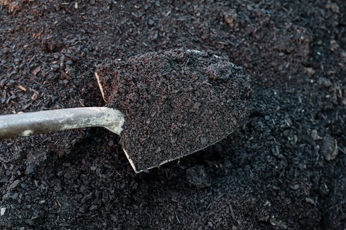 Compost Compost