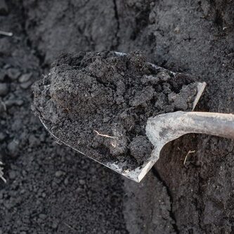 Top Soil