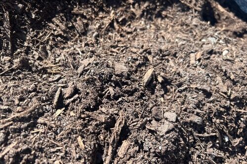 Premium Compost Premium Compost