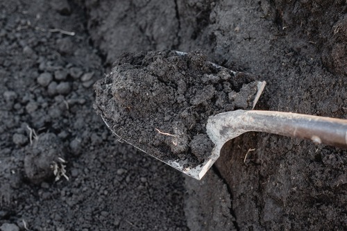 Top Soil Top Soil